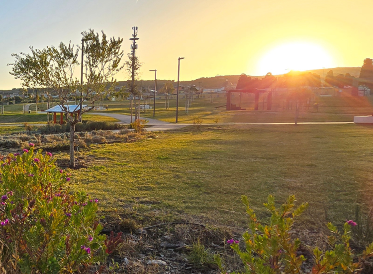 Cream and Brown Photographic Beauty Site Launch Website (2)